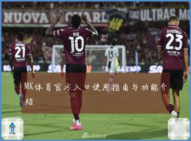 MK体育官方入口使用指南与功能介绍