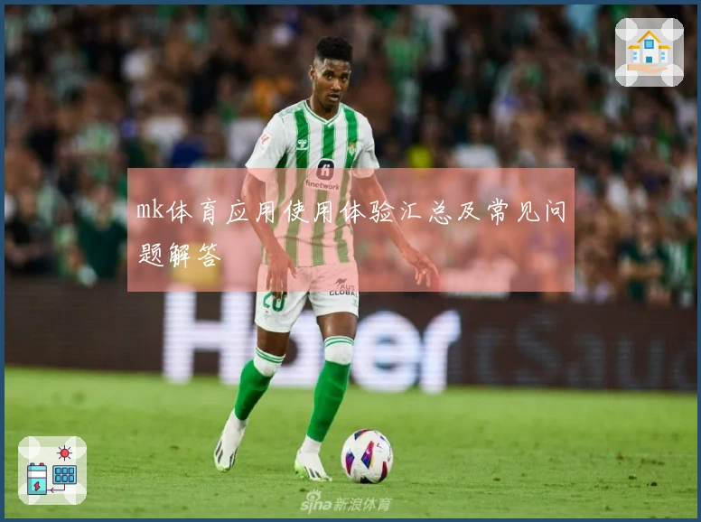 mk体育应用使用体验汇总及常见问题解答