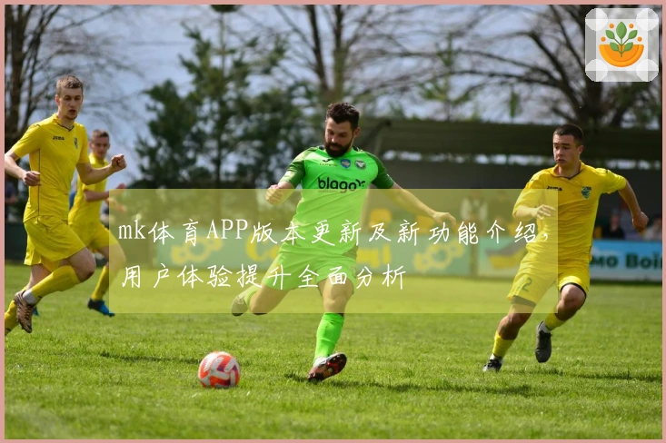 mk体育APP版本更新及新功能介绍,用户体验提升全面分析